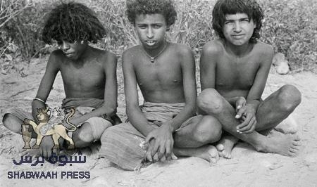 بحث تاريخي في مفهوم (السلطنة) الواردة في المصادر التاريخية الحضرمية