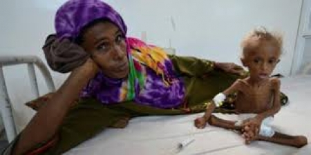‘‘الأمم المتحدة‘‘ تطلق أكبر نداء إنساني لإنقاذ حياة 12 مليون يمني