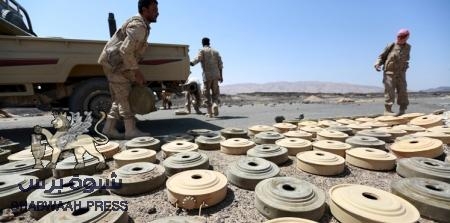 القوات الجنوبية تبطل مفعول 14 ألف لغم في المخا