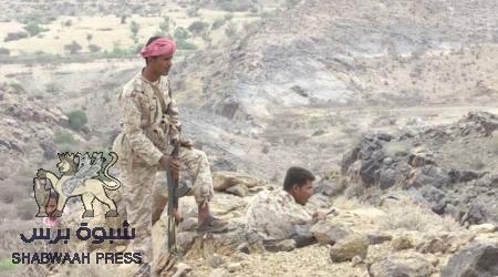 قصف عشوائي لمنازل المواطنين ومعارك محتدمة في طورالباحة