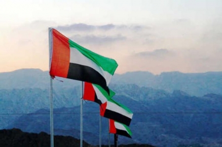 الإمارات تعلن استشهاد أحد جنودها في اليمن
