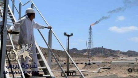 عودة الروح إلى زهرة بريطانيا في عدن ..