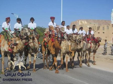 المهرجان الأقدم في المنطقة العربية : مدينة تريم تحيي مهرجان الهجن السنوي .. وحضور جماهيري حاشد(صور)