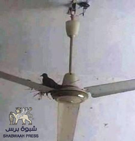 روفلات ‘‘عفاش‘‘ في معاشيق يعذبون أهلنا في عدن