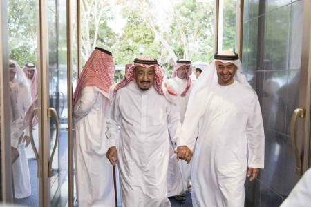 محمد بن زايد: الإمارات والسعودية تقفان معا في خندق واحد