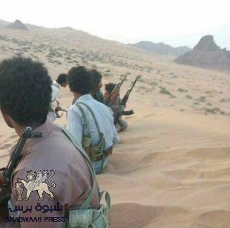 قبيلة بلحارث تقدم منفردة عشرين شهيد وجريح في عيد الأضحى