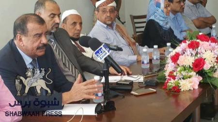 الزبيدي: قريبا سنبدأ تسلم إدارة المناطق المحررة في الجنوب