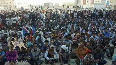 محافظ المهرة يتلقى اتصالات من مسؤولين في الشرعية لإفشال مهرجان المجلس الانتقالي