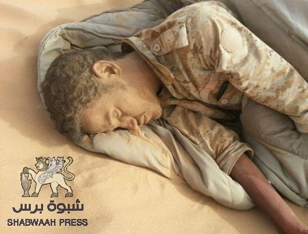 بيحان : تضحيات قتالية مشرفة وأطماع الإخوان تعيق النصر