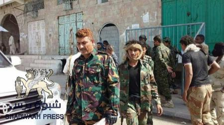 حوطة القمندان من مدينة أشباح إلى عاصمة للسلام ..