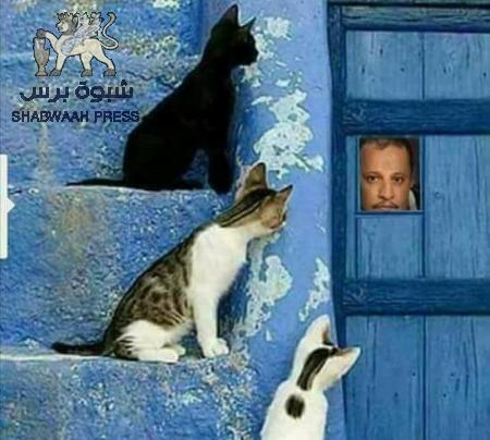 #إعلام_الرئيس : سيذهبون بك أبعد مما تتصور