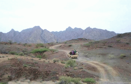 الحوثيون يعززون جبهة طور الباحة والجوازعة وانسحابات في كرش