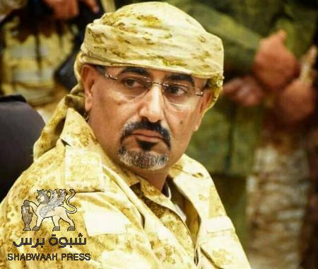 أبرز النقاط التي وردت في مقابلة الرئيس الزبيدي مع قناة فرانس 24