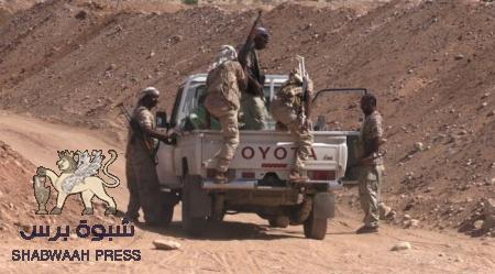 عاجل : إنتهاء العملية العسكرية لقوات النخبة ضد القاعدة اليمنية في وادي المسيني بالنصر المؤزر