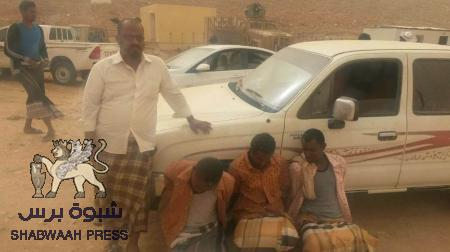 القاء القبض على عصابة سرقة سيارات من قبل النخبة الشبوانية محور حراد