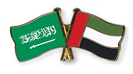 سياسيون فرنسيون:الإمارات والسعودية يواجهان الإرهاب في اليمن نيابة عن المجتمع الدولي