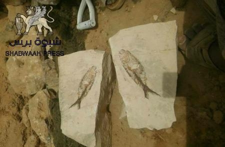 اكتشاف أثري صخري جديد في وادي حضرموت (صورة)