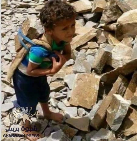 بعيدا عن السياسة : عندهم وعندنا