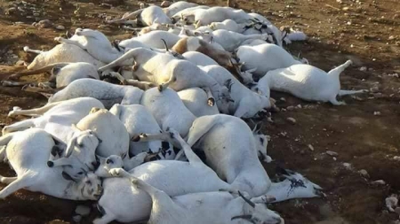تراجع إعصار “مكونو” في عُمان.. مع بقاء الأمطار والتحذير