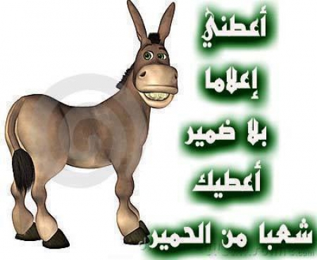 عندما يغرق الإعلام الرسمي في بركة الانتهازية الحزبية