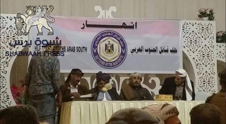 بنية القبيلة انشطارية وانقسامية وأبعد ما تكون مادة أولية لتأسيس كيان الدولة الوطني