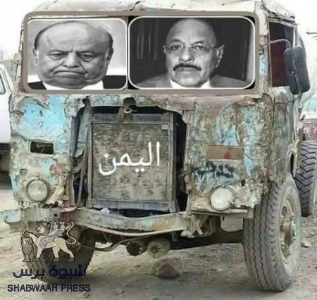 القط يحب خناقه