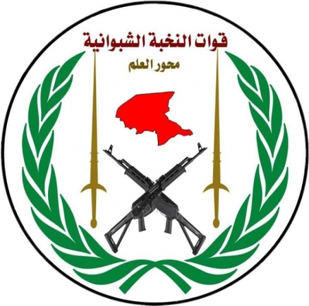 مصدر يكشف حقائق مثيرة حول أحداث عتق بين قوات النخبة والشرعية