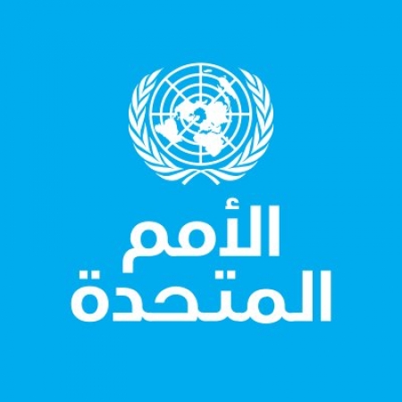 أمين عام الامم المتحدة يعلن عن نشر قوات أممية بالحـديدة قريباً